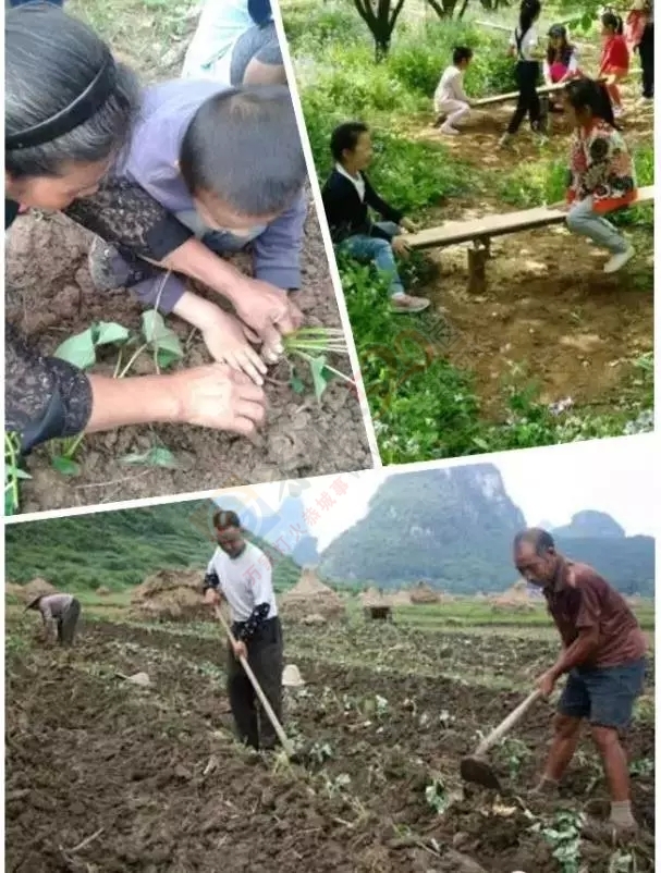 恭城人小时候做过的农活，你做过几样？627 / 作者:火星娃崽 / 帖子ID:128742
