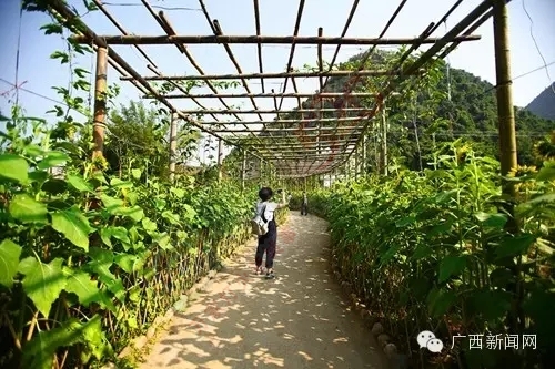 不要轻易去恭城，因为很容易把心丢在那里！296 / 作者:风油精 / 帖子ID:128745