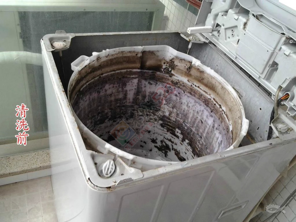 洗衣机里的“隐患”：洗衣机内筒 警惕二次污染924 / 作者:ぐ銘╃葉ぁ / 帖子ID:128787