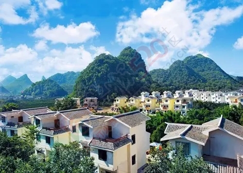 恭城万亩柿子林已经红透，就这样把秋色装进肚子859 / 作者:看清所以看轻 / 帖子ID:128821