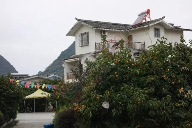 恭城人和平乐人是邻居，但是他们却这样做，我们又该如何做?669 / 作者:看清所以看轻 / 帖子ID:128823