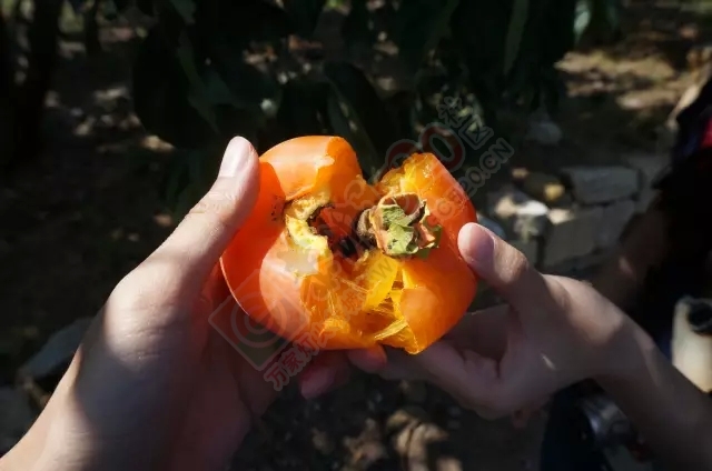 【讲咧就是我们界该】一条微信告诉你广西现在的农村是什么样的！689 / 作者:对岸烽火 / 帖子ID:128830