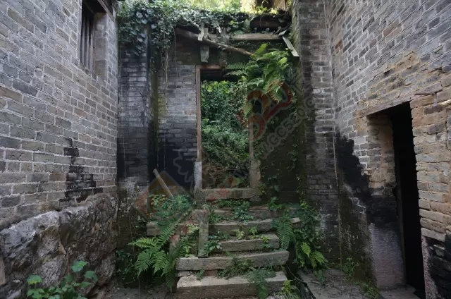 【讲咧就是我们界该】一条微信告诉你广西现在的农村是什么样的！636 / 作者:对岸烽火 / 帖子ID:128830