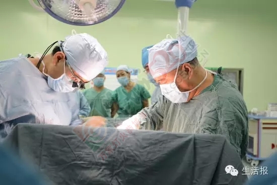 200名医护17小时同做8台手术 哈市一男子捐赠4器官延续6人生命954 / 作者:兔兔呀 / 帖子ID:128866