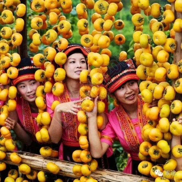 “人间仙境”恭城的八大美27 / 作者:520小编 / 帖子ID:128940