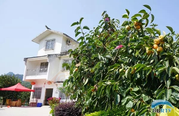 在恭城 圆一场回归田园的梦902 / 作者:该做的事情 / 帖子ID:128956