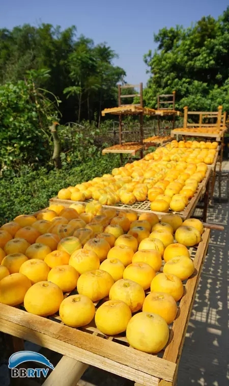 在恭城 圆一场回归田园的梦753 / 作者:该做的事情 / 帖子ID:128956