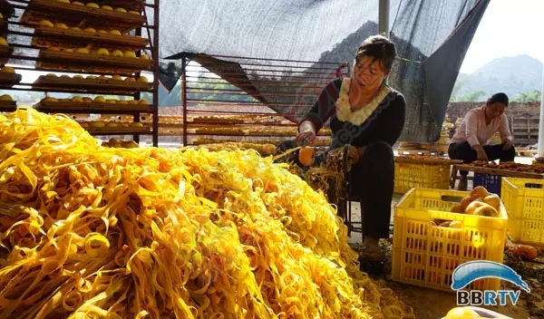 在恭城 圆一场回归田园的梦13 / 作者:该做的事情 / 帖子ID:128956