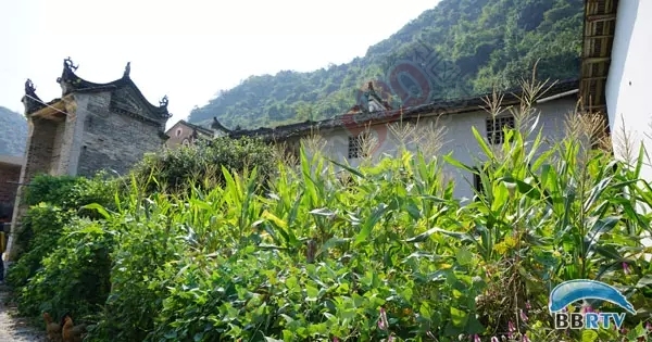 在恭城 圆一场回归田园的梦260 / 作者:该做的事情 / 帖子ID:128956