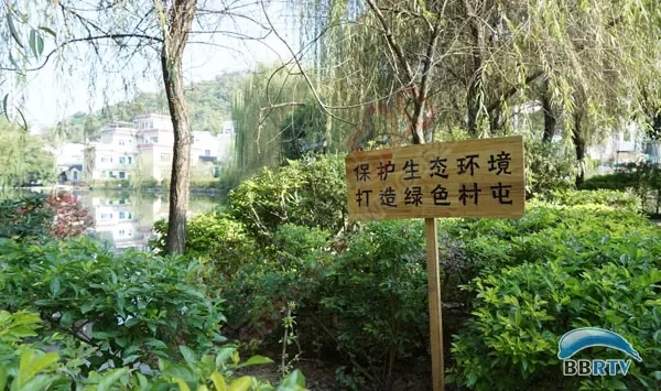 在恭城 圆一场回归田园的梦866 / 作者:该做的事情 / 帖子ID:128956