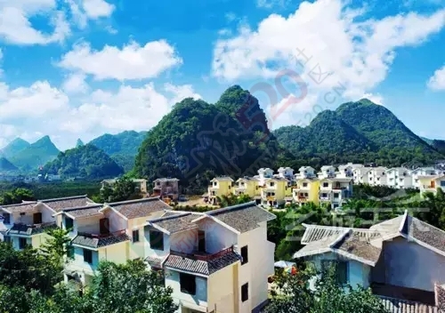 恭城月柿—金秋里的那抹红155 / 作者:深秋的落叶 / 帖子ID:129057