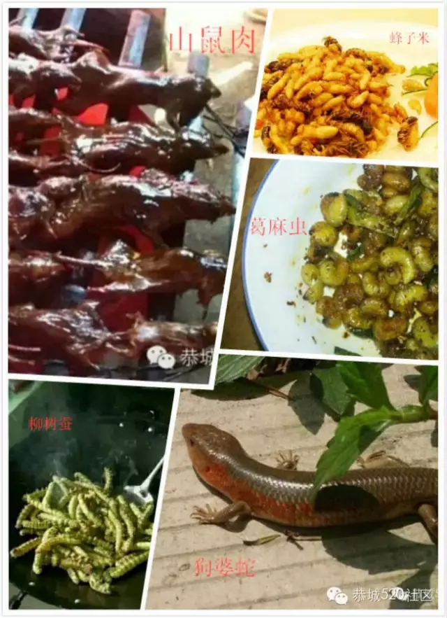 遇见恭城，竟用掉了我好多个QQ表情！394 / 作者:深秋的落叶 / 帖子ID:129059