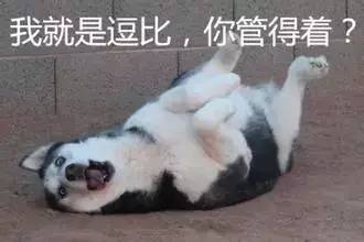 恭城这两天都不叫恭城了，它有个洋气的外国名字叫：？？？251 / 作者:火星娃崽 / 帖子ID:129091