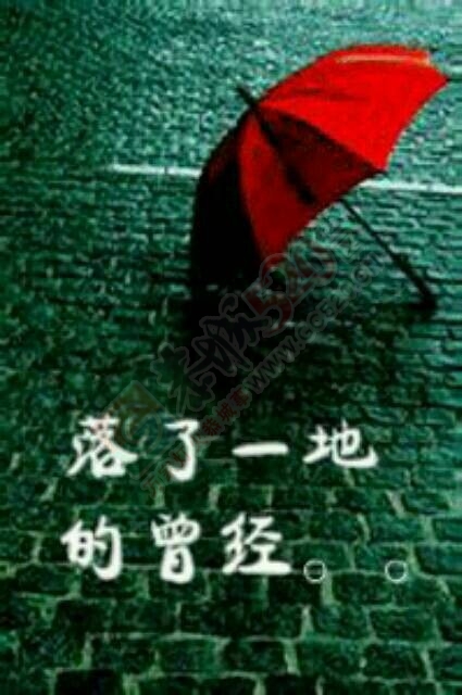 深秋滴雨98 / 作者:茶江飞雪 / 帖子ID:129114