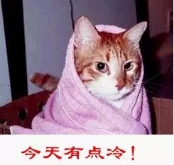 恭城，一座魔幻的城市，一周过完整个春夏秋冬……110 / 作者:该做的事情 / 帖子ID:129178