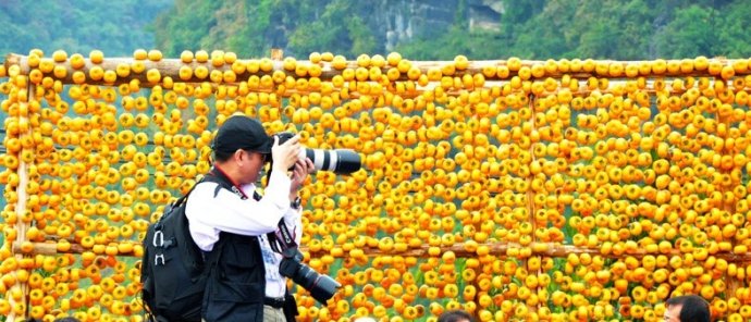 告诉大家一个好消息：第十二届桂林恭城月柿节将于11月7日开幕640 / 作者:对岸烽火 / 帖子ID:129187