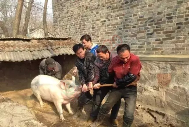 让我们一起看看恭城农村如何操办酒席？351 / 作者:脚踏实地 / 帖子ID:129225