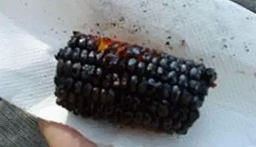一个男人的自白：和女朋友同住之后，我每天生不如死！520 / 作者:jphzy / 帖子ID:158937