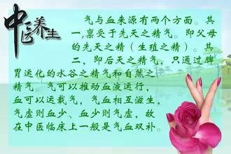 15个解决女性气血不足的食疗方528 / 作者:人艰不拆 / 帖子ID:158948