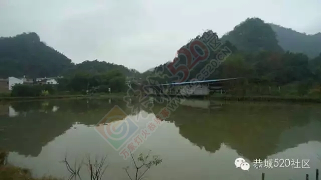 平安乡塘边村11亩鱼塘开钓啦！！！908 / 作者:深秋的落叶 / 帖子ID:158989