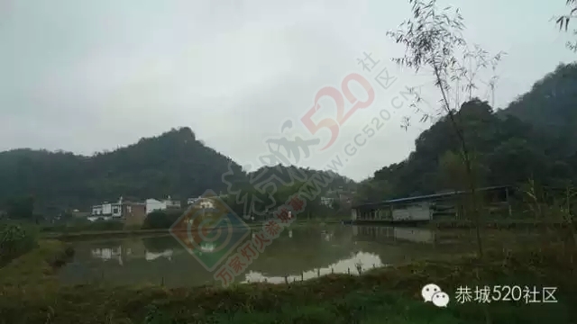 平安乡塘边村11亩鱼塘开钓啦！！！818 / 作者:深秋的落叶 / 帖子ID:158989