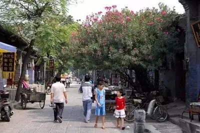 今天的恭城，竟然丢了这么多好东西，已泪崩！37 / 作者:脚踏实地 / 帖子ID:158991
