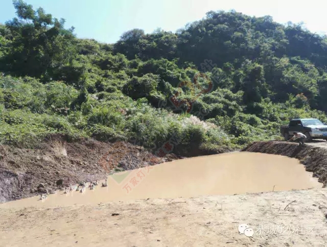 孟家小伙忙创业，向荒山要出效益！恭城520网为他点赞。789 / 作者:社区小编 / 帖子ID:159021