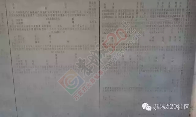 夜探恭城乐湾龙神庙会，香客信徒络绎不绝热闹非凡625 / 作者:深秋的落叶 / 帖子ID:159231