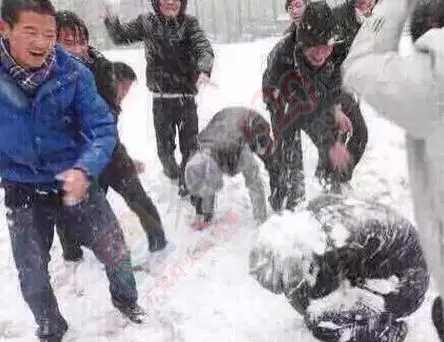 恭城为什么不适合下雪，终于找到原因了！645 / 作者:微观恭城 / 帖子ID:159268
