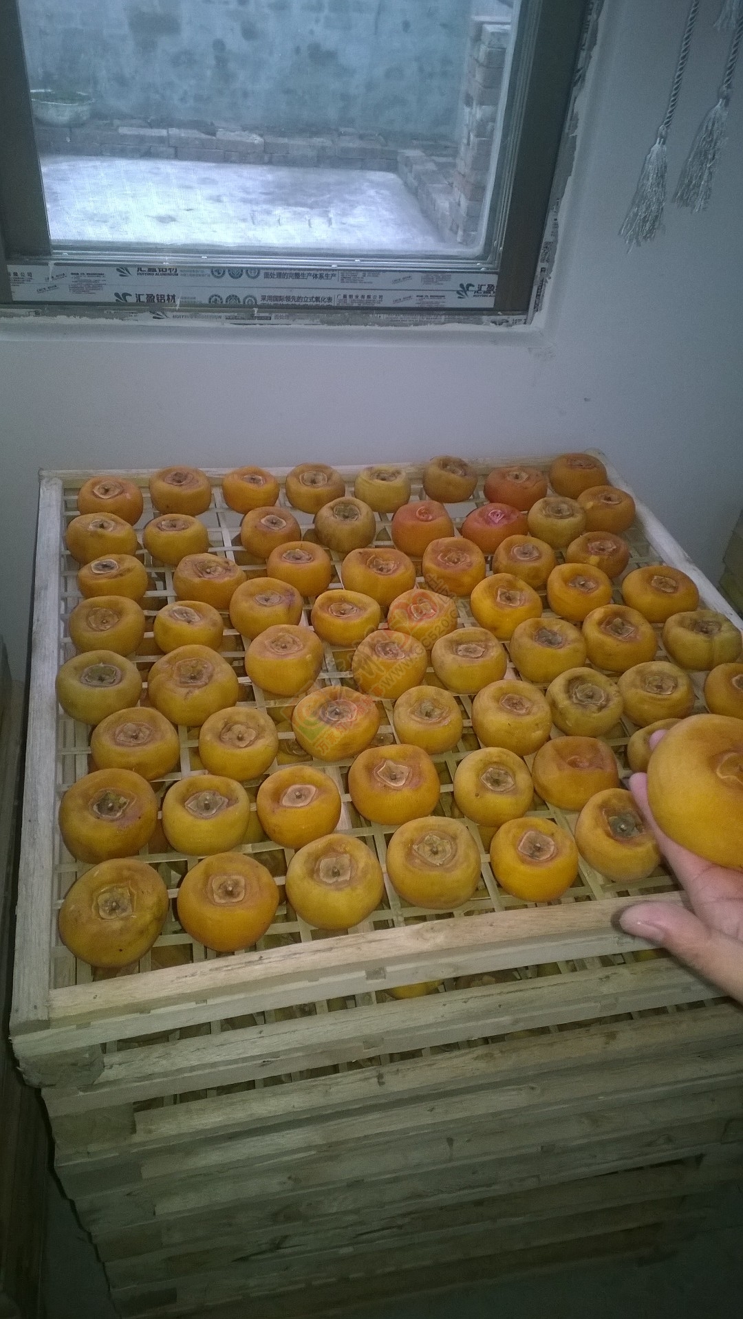 柿饼专用烘干抽湿机定做914 / 作者:志洪电器 / 帖子ID:159324