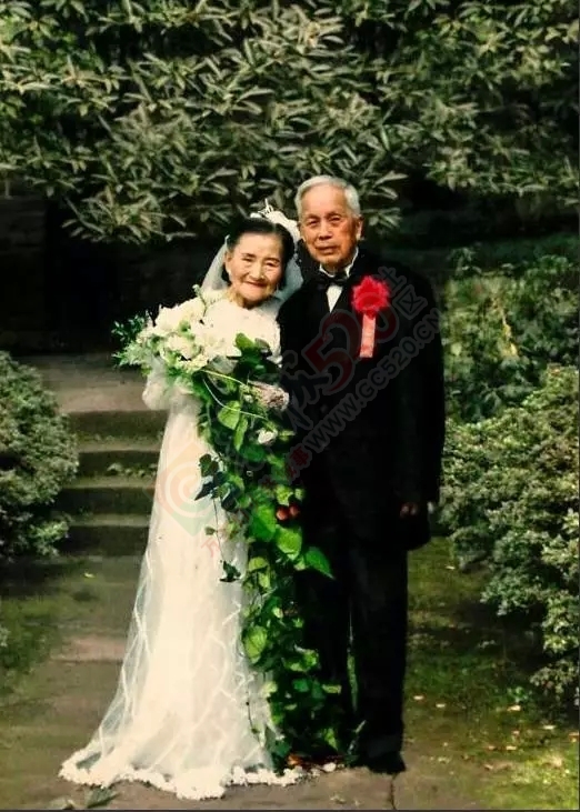 时隔70年，同一个地点，还是你和我一起拍婚纱，瞬间哭成狗！564 / 作者:分叉路口 / 帖子ID:159367