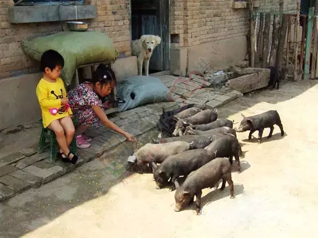 我是恭城农村人，我为恭城农村代言！76 / 作者:深秋的落叶 / 帖子ID:159457