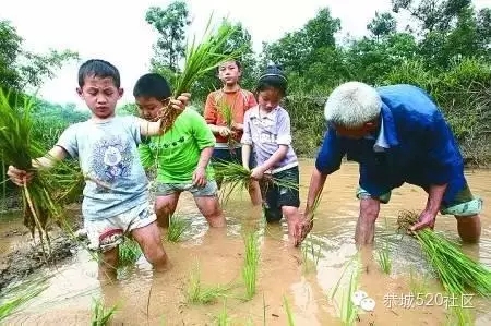 我是恭城农村人，我为恭城农村代言！828 / 作者:深秋的落叶 / 帖子ID:159457