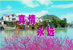 视频：真情永远310 / 作者:时光倒流 / 帖子ID:159568