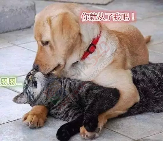 如果你的朋友是恭城滴，那你真的是爽死了！408 / 作者:深秋的落叶 / 帖子ID:159661