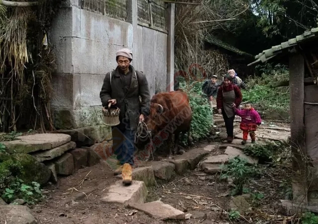 恭城一个农村娃儿写的一篇作文，看完笑的忍不住！435 / 作者:火星娃崽 / 帖子ID:159949