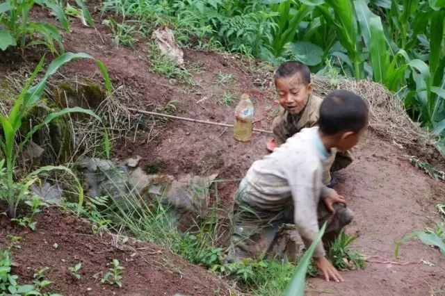 恭城一个农村娃儿写的一篇作文，看完笑的忍不住！443 / 作者:火星娃崽 / 帖子ID:159949