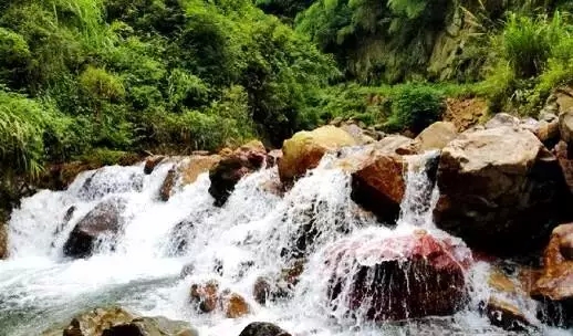 未来，恭城这些东西将成为令人艳羡的奢侈品28 / 作者:微观恭城 / 帖子ID:160298