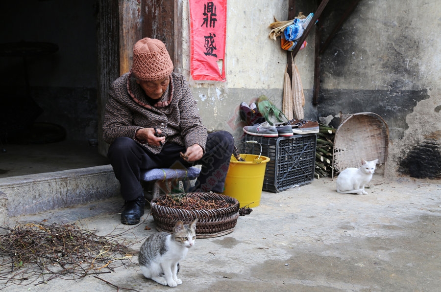 广西恭城瑶族自治县西岭乡有一个古村落——杨溪村934 / 作者:微观恭城 / 帖子ID:160299