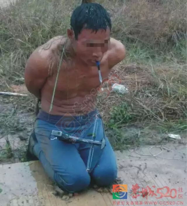 莲花罗带村：偷狗贼入村偷狗被活活打死！（此贴看得到内容）333 / 作者:微观恭城 / 帖子ID:160468