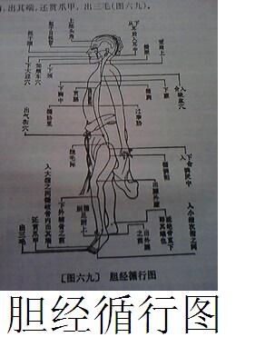 贡献百草奇药截解肝硬化362 / 作者:时珍后人 / 帖子ID:160511