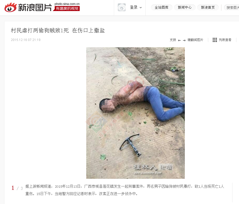 莲花罗带村：偷狗贼入村偷狗被活活打死！851 / 作者:MDG / 帖子ID:160330