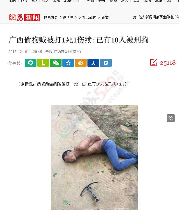 莲花罗带村：偷狗贼入村偷狗被活活打死！892 / 作者:MDG / 帖子ID:160330