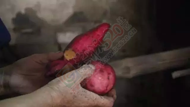儿时在恭城农村烧柴火的日子！再也回不去了53 / 作者:微观恭城 / 帖子ID:160624