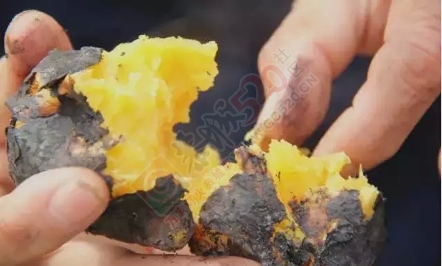 儿时在恭城农村烧柴火的日子！再也回不去了27 / 作者:微观恭城 / 帖子ID:160624