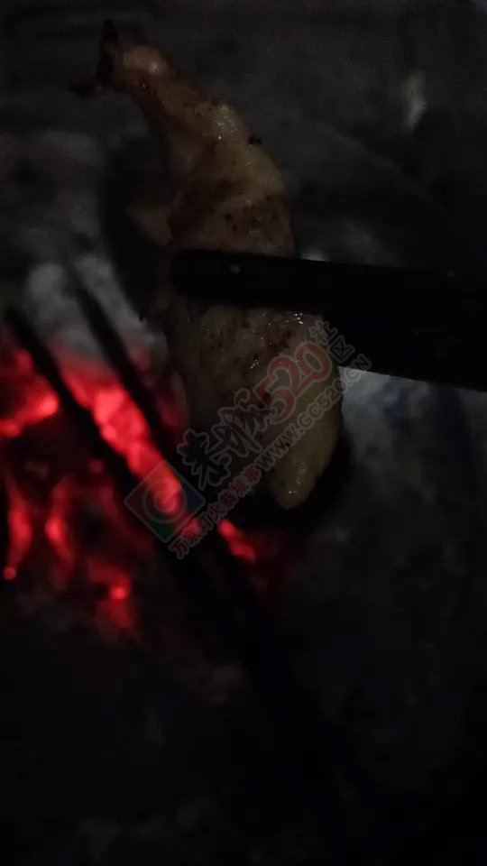 酿腊肠啦~~~（今天还有咧咧肝）419 / 作者:恭城520小奈姐姐 / 帖子ID:160694