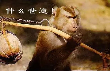 广西老汉当年抛弃患癌妻子搞婚外情，如今无人养告子女499 / 作者:额外听歌 / 帖子ID:160706