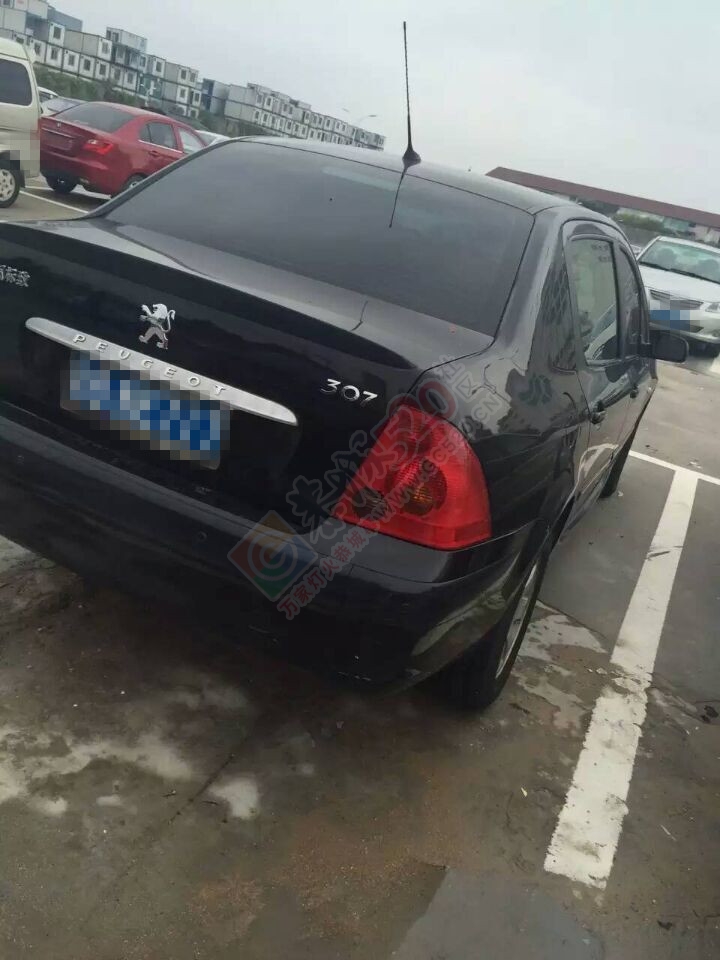 出售外迁车 车况完美 只要一万多613 / 作者:销售鸦胆子苗 / 帖子ID:160963