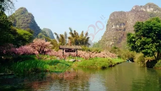 语文课本上的古文，还记得几篇23 / 作者:猫小萌 / 帖子ID:161023