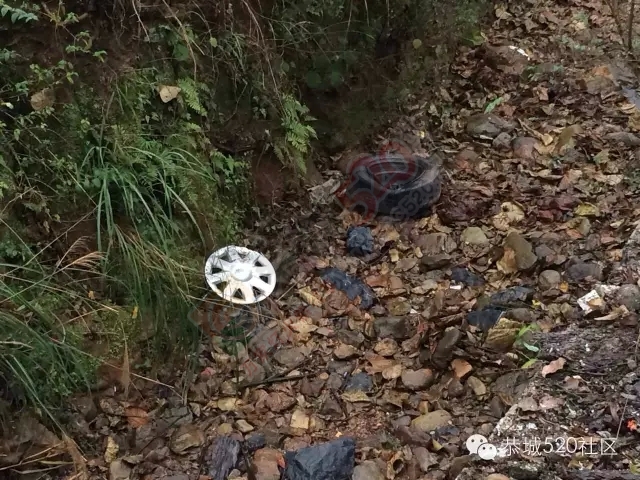 这个才险火！昨天下午在恭城定岗坳发生车祸，车子翻下沟子底，两人挂彩。503 / 作者:社区小编 / 帖子ID:161259